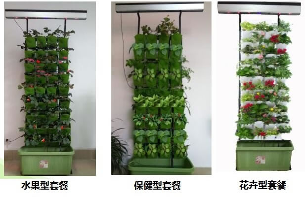 5fffe15c5a440.jpg 02.jpg