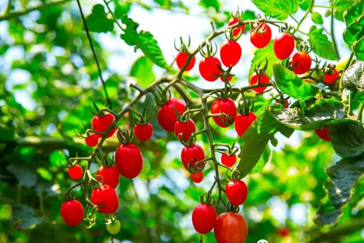 60018a8b9ebdd.jpg 01.jpg