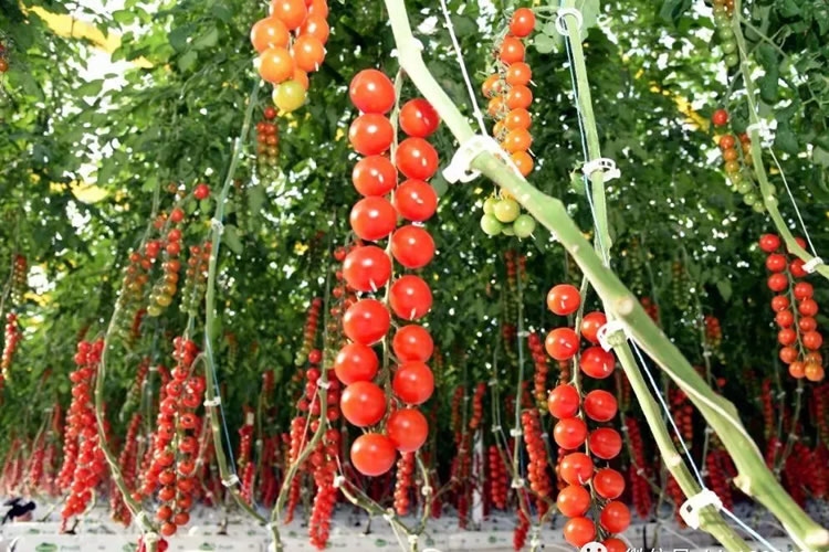 60018aaadf074.jpg 05.jpg