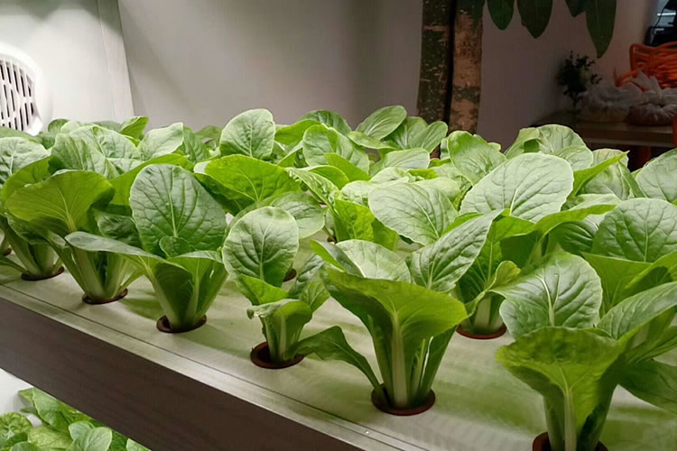 60053e4d27bbc.jpg 01.jpg