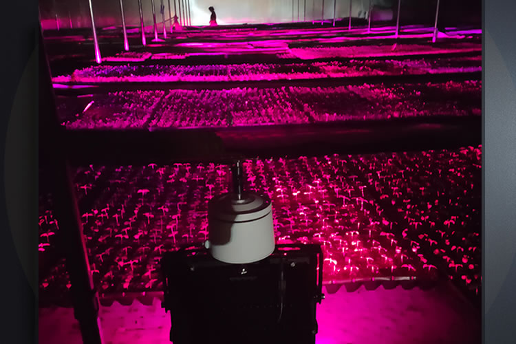 60053e58e22bf.jpg 02.jpg