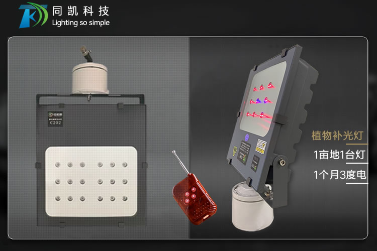 600e2b41e80ca.jpg 01.jpg