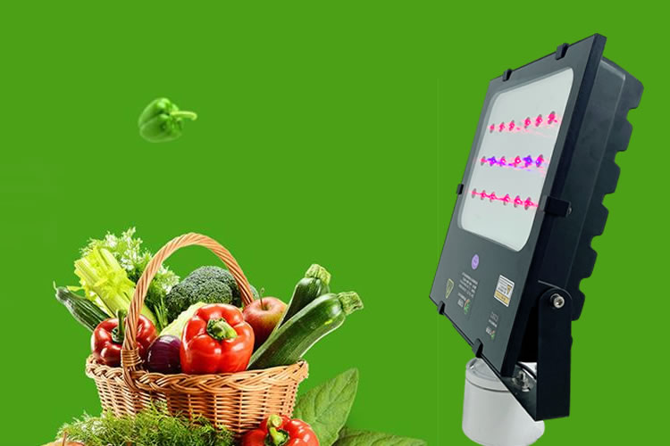 600e2ffd5c852.jpg 01.jpg