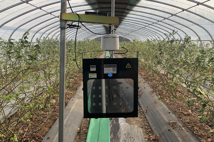 60191641edc61.jpg 01.jpg