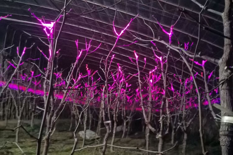 601b5bb896cf2.jpg 03.jpg