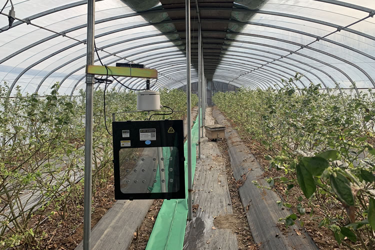 601dfe4fe7bd1.jpg 05.jpg